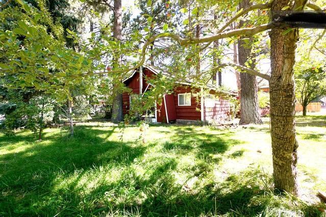 Green Cabin In Big Bear Lake 3 Bdr Pets Friendly Big Bear City Extérieur photo